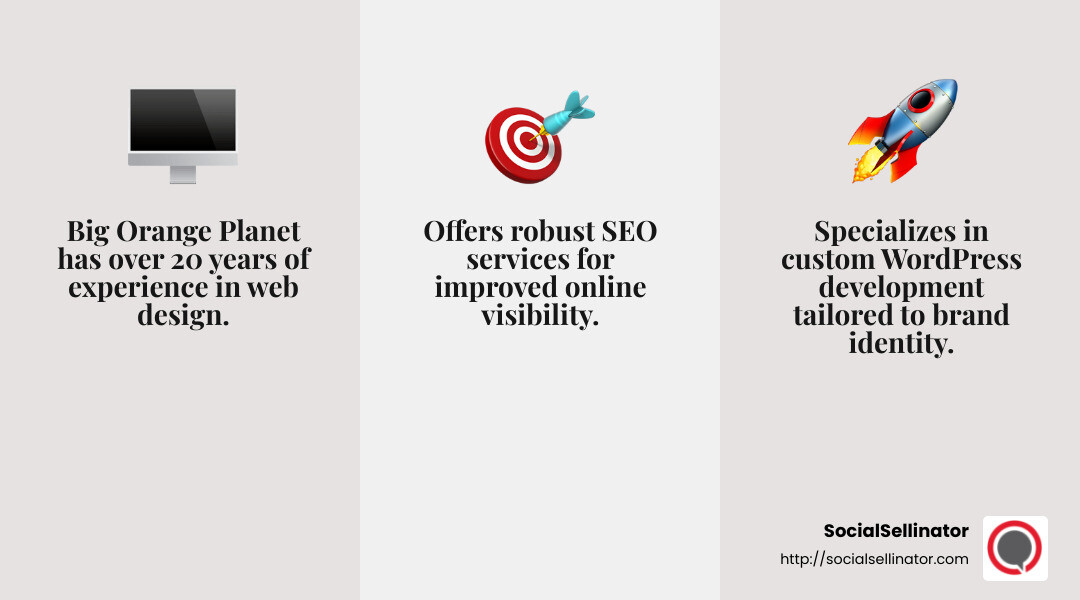 Big Orange Planet's expertise in custom WordPress development - web design company Denver infographic 3_facts_emoji_grey
