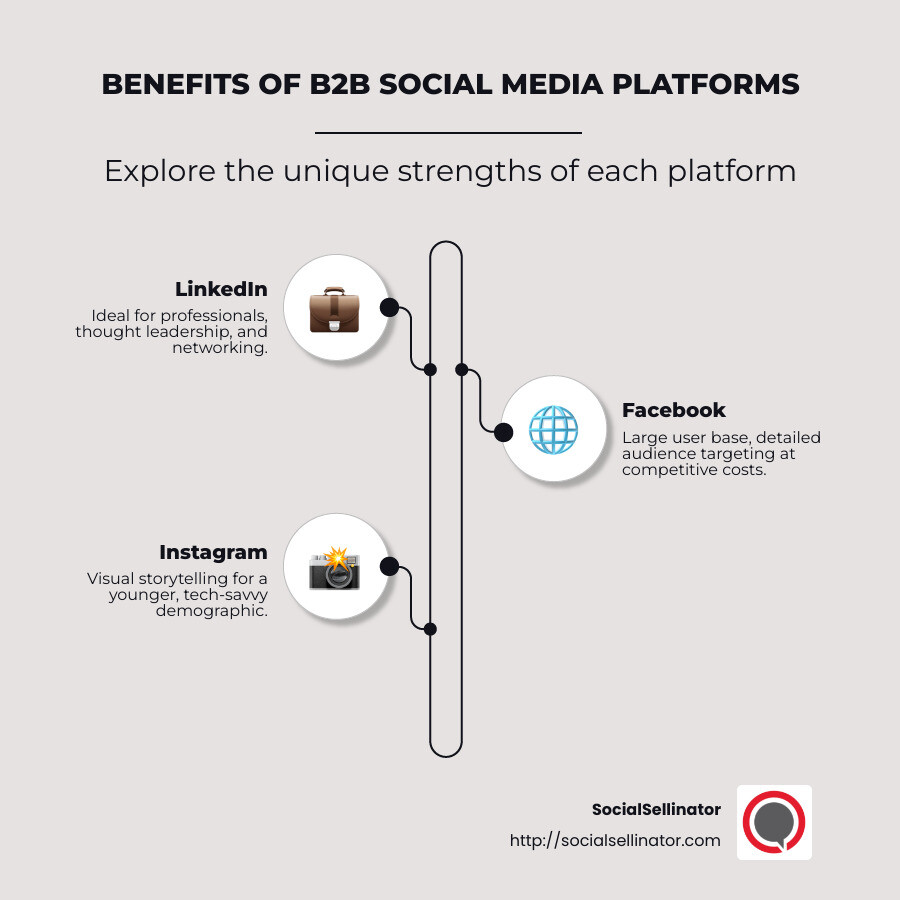 Detailed infographic on B2B social media ad benefits, showing LinkedIn's professional networking, Facebook's audience targeting, and Instagram's visual storytelling potential - b2b social media ads infographic infographic-line-3-steps-neat_beige