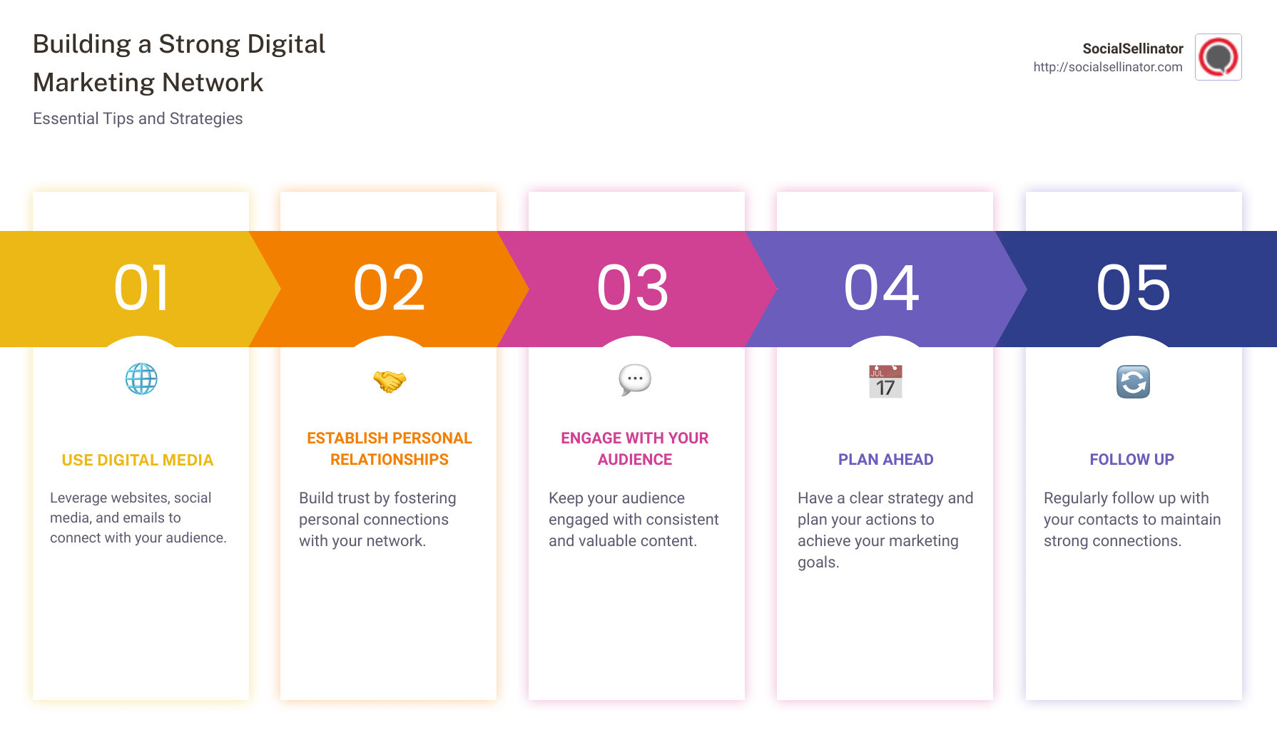 Digital Marketing Network Overview - Infographic - digital marketing network infographic pillar-5-steps