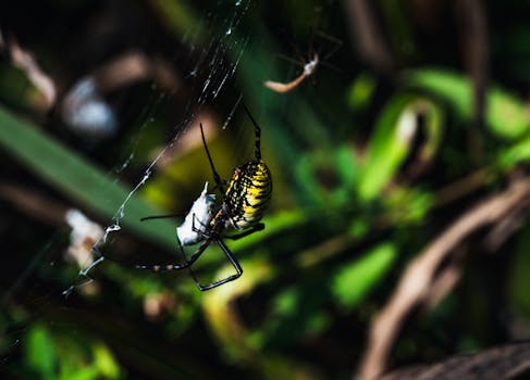web crawling